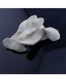 Chloroprene Rubber CR2442