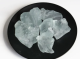 Sodium Silicate