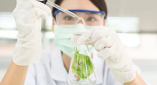 Difference Between Feed Grade and Food Grade Chemicals