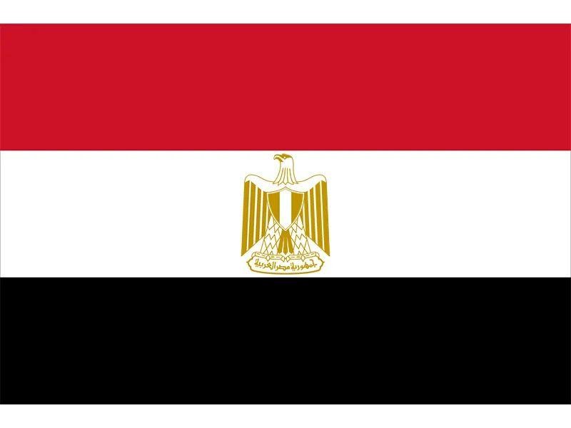 How To Successfully Import Chemicals to Egypt