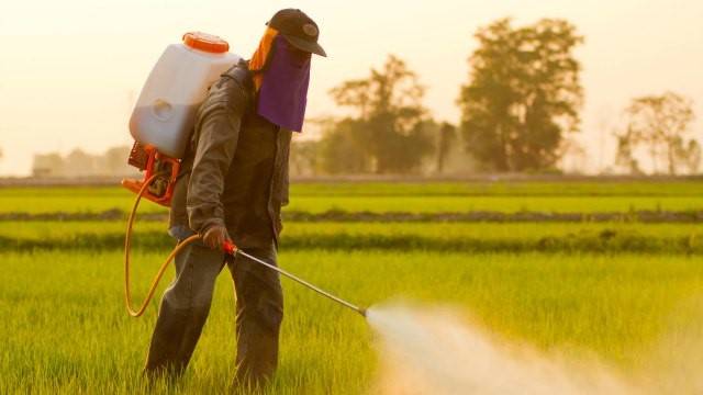 Top 10 Chemicals Used in Biocides: A Comprehensive Guide