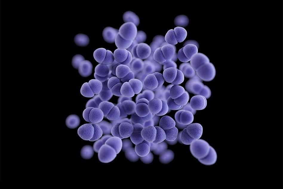 Antibiotics - Top 10 Chemicals Used in Animal Feed Industry