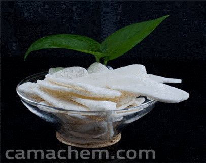 Chloroprene Rubber Uses