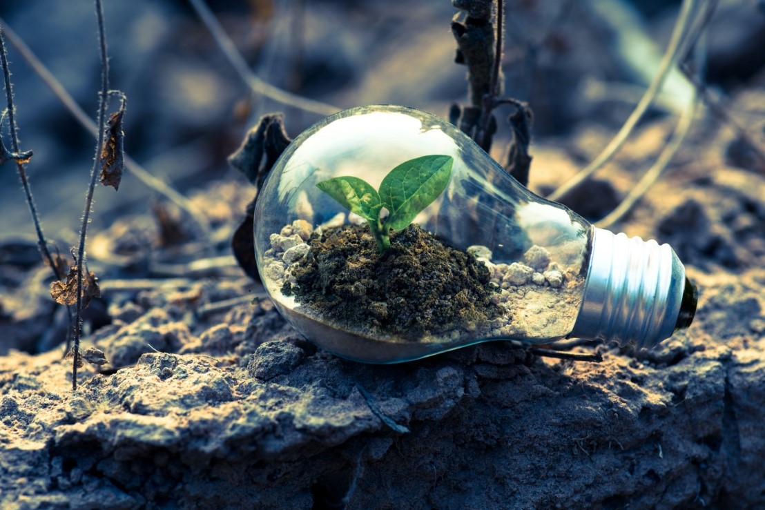 Harmful Environmental Effects