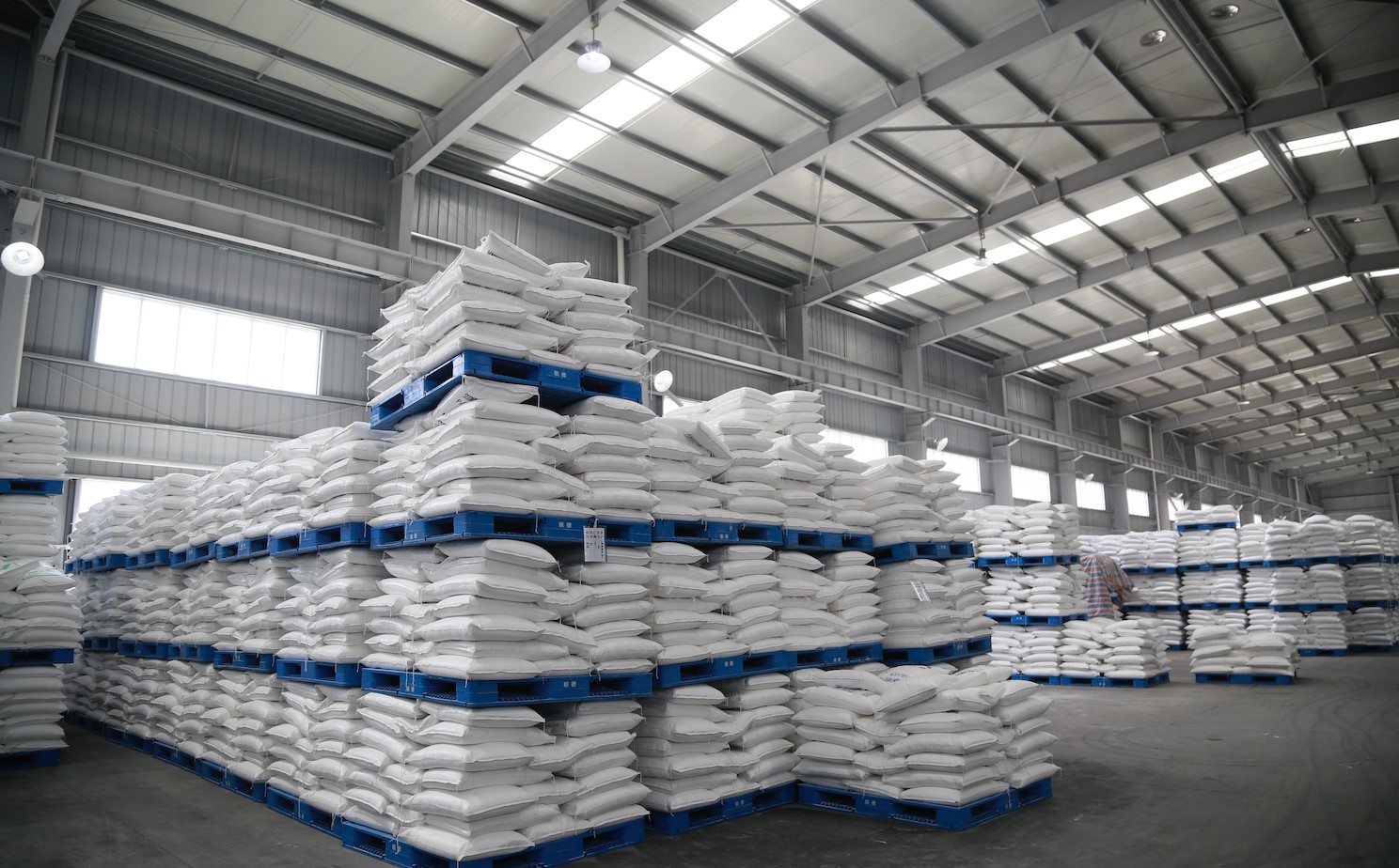 Neopentyl Glycol in bulk