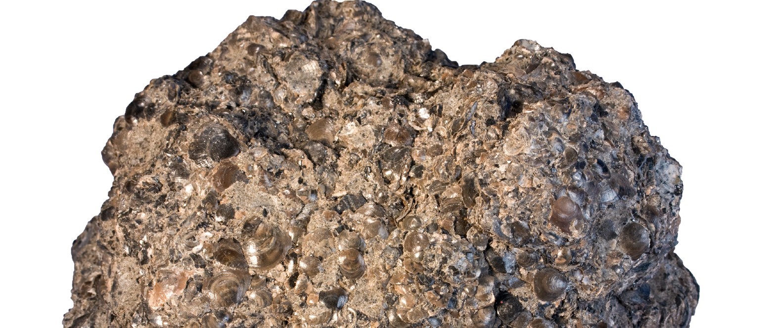 Phosphate Rock  - Top 10 Chemicals for Agriculture Industry