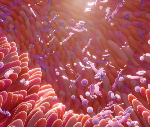Prebiotics - Top 10 Chemicals Used in Animal Feed Industry