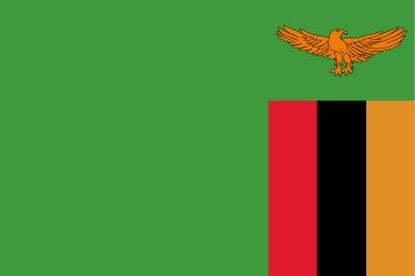 Flag of Zambia.