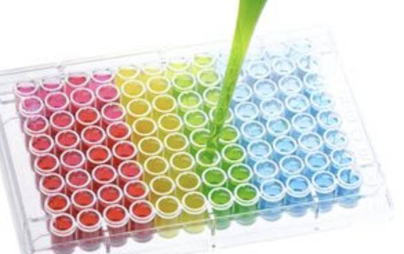 Enzymes Chemical Close Up