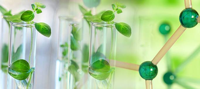 Image of green chemistry and sustainability 