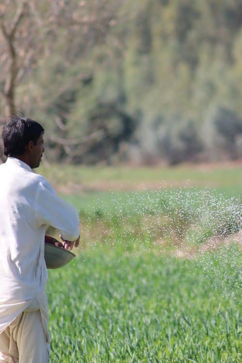 Farmer applying selenium-enriched fertilizer